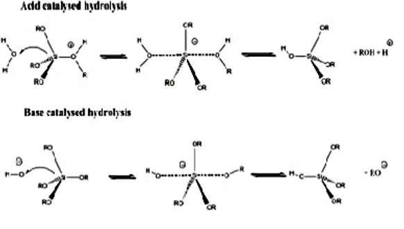 Gambar 1. Mekanisme reaksi menggunakan  katalis asam dan basa 