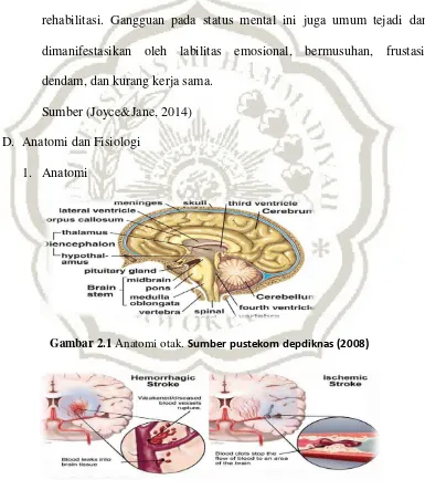 Gambar 2.1 Anatomi otak. Sumber pustekom depdiknas (2008) 