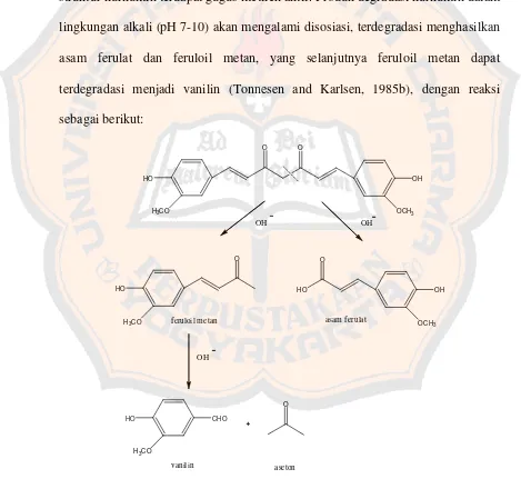 Gambar 2. Reaksi degradasi kurkumin pada pH basa (Stankovic, 2004)