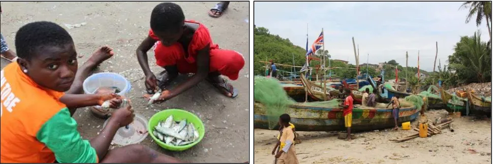 Fig 2.3 Children are paid to gut fish to be sold (left) and pupils loitering off  school  hours at the beach  (right)