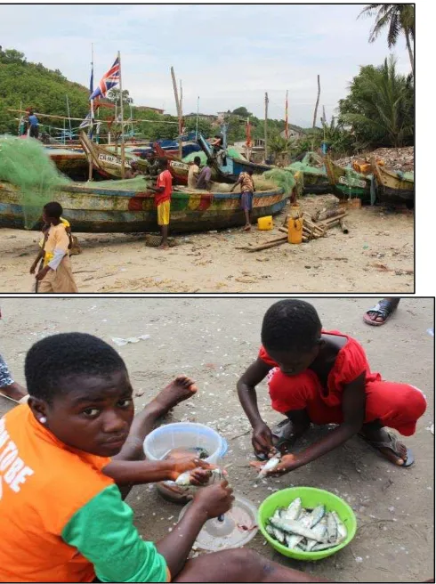 Figure 6 Pupils loitering off school hours at the beach (top) and Children are paid to gut  fish to be sold (bottom)
