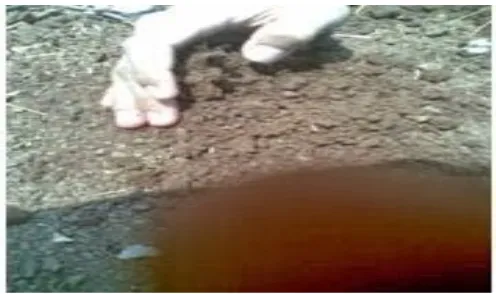Gambar 3. Contoh pengambilan Sampel tanah utuh di keluranahan Mamboro