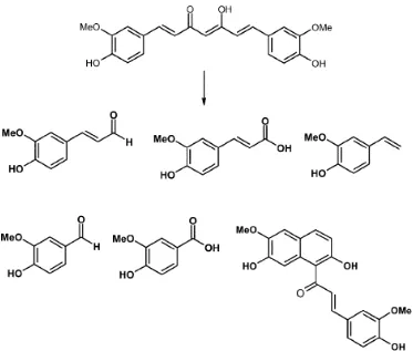 Gambar 3. Produk fotodegradasi kurkumin (Sasaki et al., 1998)