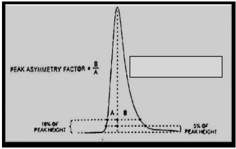 Gambar 10. Penentuan peak asymmetry (Snyder, Kirkland and Glajch, 1997)