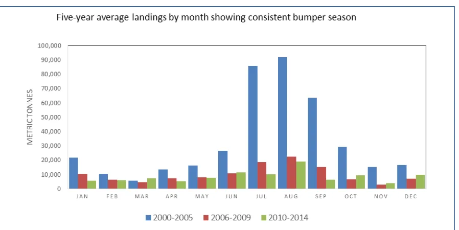Figure 11 Five-year average landings by month showing consistent bumper season 