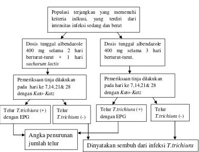 Gambar 3.2 Alur Penelitian 