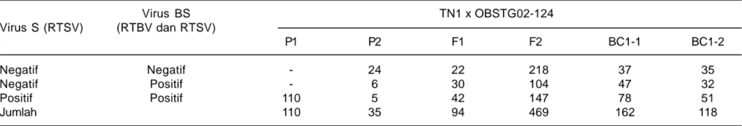 Tabel 6. Jumlah tanaman hasil uji ELISA pada persilangan TN1 dengan OBSTG02-124.