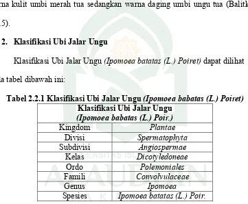 Tabel 2.2.1 Klasifikasi Ubi Jalar Ungu (Ipomoea babatas (L.) Poiret) 
