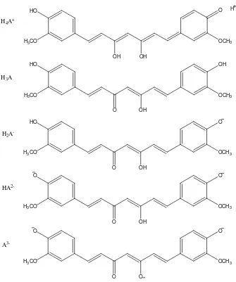 Gambar 5. Strukutur kimia kurkumin dalam berbagai pH (Stankovic, 2004)