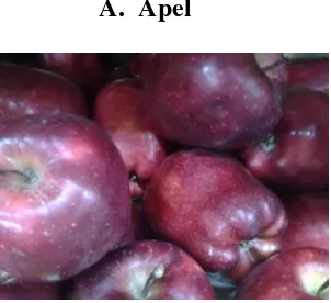 Gambar 1. Buah apel merah