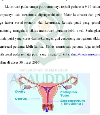 Gambar 2.1 Menstruasi. 