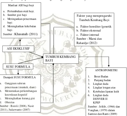 Gambar 2.1 Kerangka Teoti Penelitian  Sumber : Khasanah (2011), Nasir (2011), Judarwanto (2007), Marni dan Rahardjo 