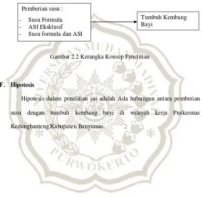 Gambar 2.2 Kerangka Konsep Penelitian 