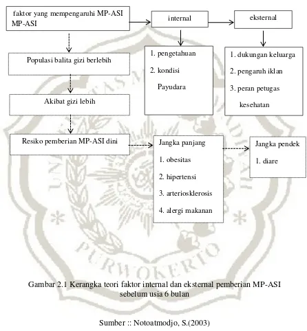 Gambar 2.1 Kerangka teori faktor internal dan eksternal pemberian MP-ASI 