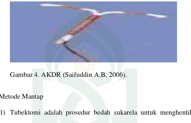 Gambar 4. AKDR (Saifuddin A.B, 2006). 