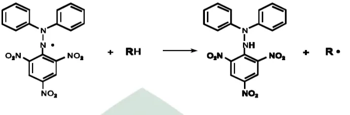 Gambar 1. Reaksi Radikal DPPH dengan Antioksidan (Paraks, 2001). 