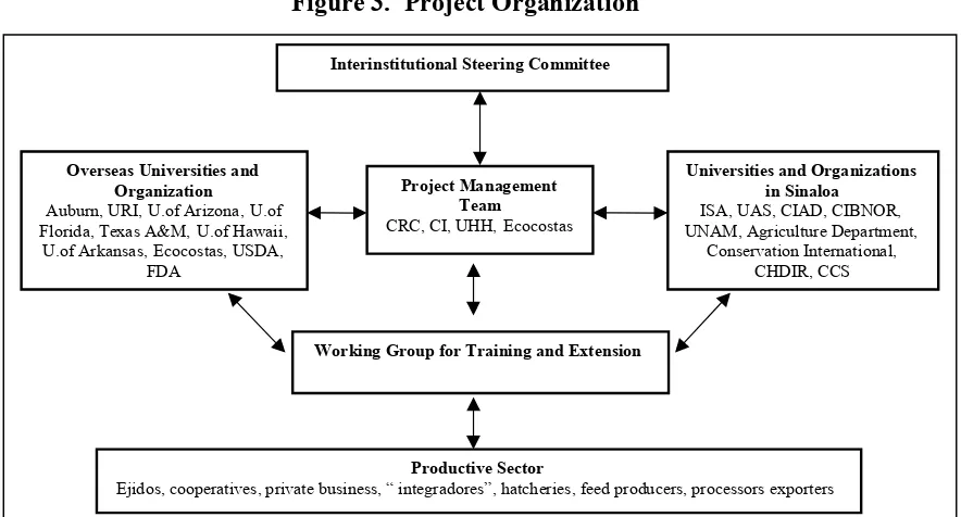 Figure 3.  Project Organization