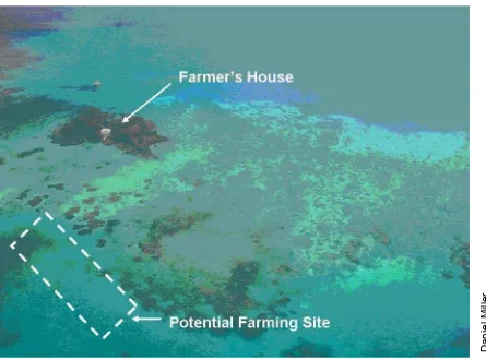 Figure 5. An example of a good pearl farming site in Fiji with clean water, within sight of the 