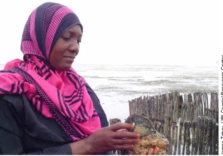 Figure 2. A Zanzibar shellfish farmer holding a pearl oyster.  This oyster is the smallest size that could be used to produce half-pearls