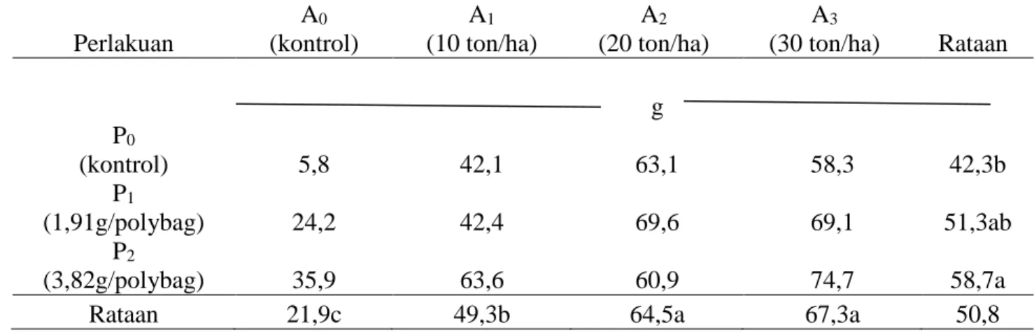 Tabel 3. Rataan nilai bobot kering tajuk pada beberapa dosis Pupuk TSP dan Pupuk Kandang Ayam  pada akhir masa vegetatif 