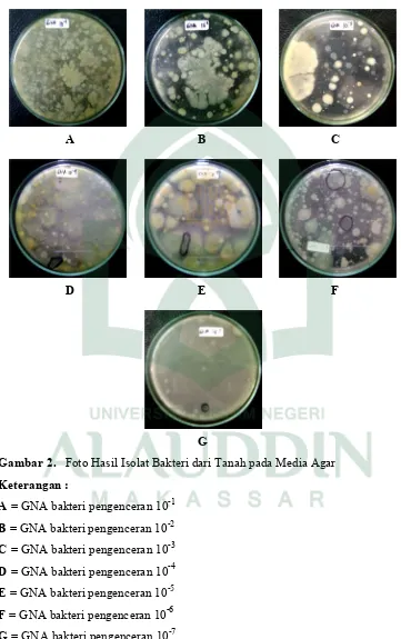 Gambar 2. Foto Hasil Isolat Bakteri dari Tanah pada Media Agar 