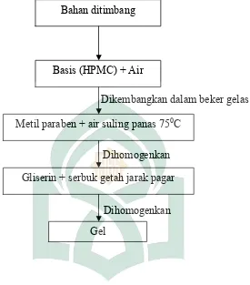 Gambar 2. Skema Kerja Pembuatan Gel Getah Jarak Pagar (Jathropha curcas)