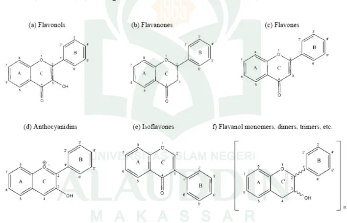 Gambar 1. Struktur molekul senyawa polifenol dari flavonoid (Tarragona, 2007: 39) 