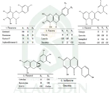 Gambar 2. Struktur kimia dari polifenol dengan penghambatan tirosinase (Jen-Wen Lin, 
