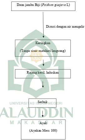 Gambar 2. Skema Kerja Pengolahan Daun Jambu Biji (Psidium guajava L)