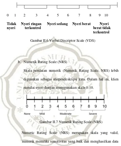 Gambar II.6 Verbal Discriptor Scale (VDS) 