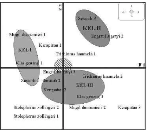 Gambar 1.Grafik Analisis Faktorial Korespondesi antar Kelas Umur Ikandan Kondisi Ekosistem Mangrove di lokasi Mayangan pada sumbuFaktorial 1 dan 2 (F1 dan F2)