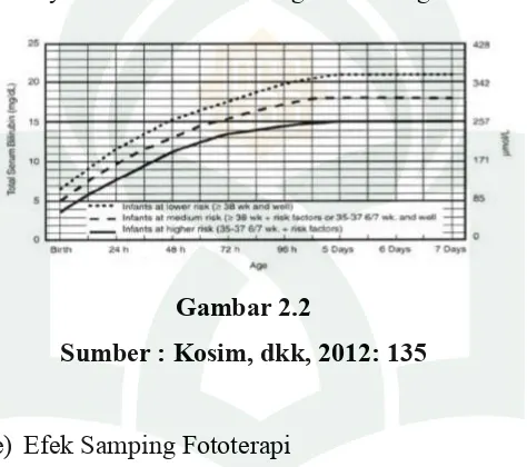 Gambar 2.2Sumber : Kosim, dkk, 2012: 135