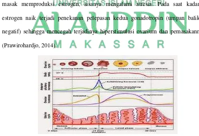 Gambar 1.1 Siklus Menstruasi Normal (Prawirohardjo, 2014) 