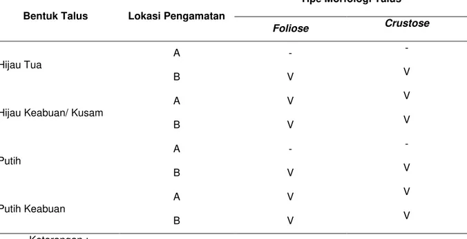 Tabel 3. Warna Talus Lichen secara umum 
