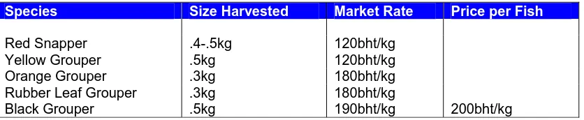 Table 3:  Production results for Fish Raft 4  