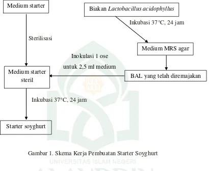 Gambar 1. Skema Kerja Pembuatan Starter Soyghurt 