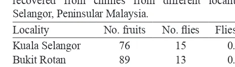 Table 1. Pupal development time of Bactrocera latifrons infesting chilli in University of Malaya campus.