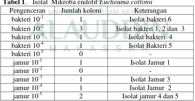Tabel 1.   Isolat  Mikroba endofit Eucheuma cottonii 