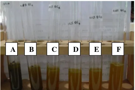 Gambar 5. Foto hasil pengujian KHM ekstrak metanol larut heksan 