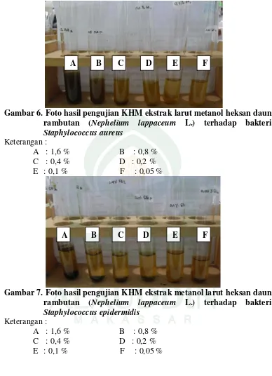 Gambar 6. Foto hasil pengujian KHM ekstrak larut metanol heksan daun 