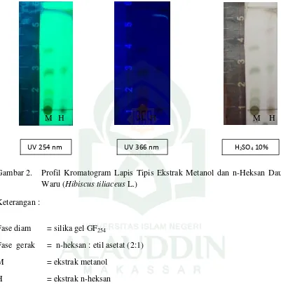 Gambar 2.  Profil Kromatogram Lapis Tipis Ekstrak Metanol dan n-Heksan Daun 