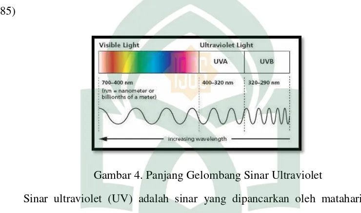 Gambar 4. Panjang Gelombang Sinar Ultraviolet 