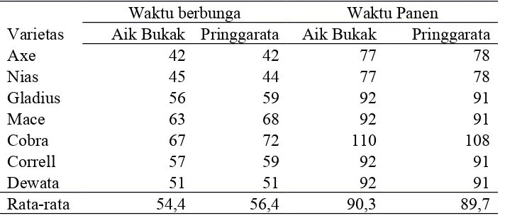 Tabel 9. Umur berbunga dan umur panen pada lokasi Pringgarata dan Aik Bukak