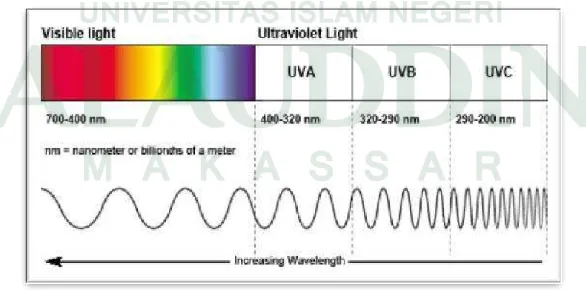 Gambar 2. Panjang Gelombang Sinar Ultraviolet 
