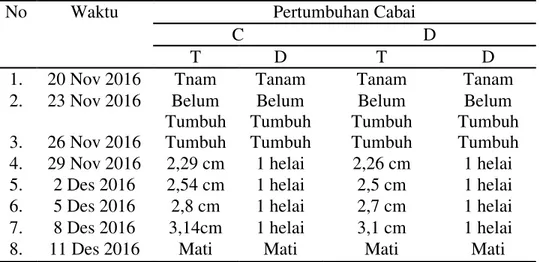 Tabel 2. Hasil Pengamatan Pertumbuhan Cabai Tanpa Cahaya (Gelap) 