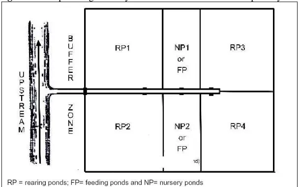 Figure 1. Backyard ponds showing PVC pipes for water control 