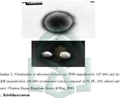 Gambar 2. Visualization of ethosomal vesicles. (a) TEM (magnification 315 000) and (b) 