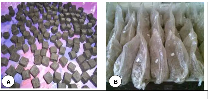 Gambar 4. Biofungisida formulasi tablet dan serbuk 