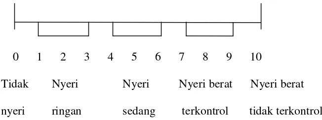 Gambar 2.1 Verbal Descriptor Scale (VDS) 