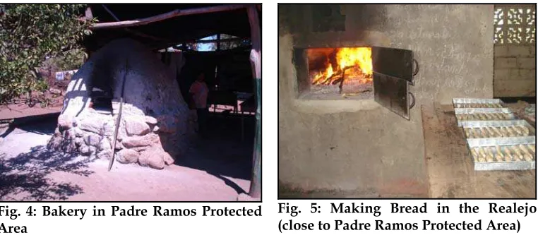 Fig. 5: Making Bread in the Realejo  (close to Padre Ramos Protected Area) 